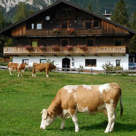 Thoamlhof Lägenhet Leutasch Exteriör bild