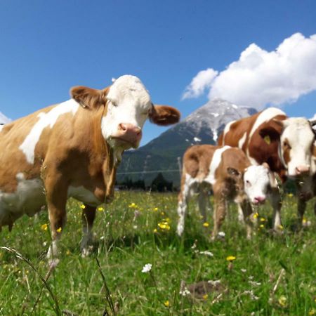 Thoamlhof Lägenhet Leutasch Exteriör bild