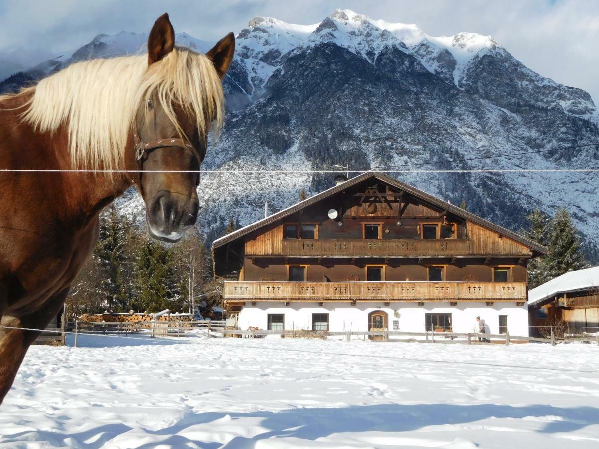 Thoamlhof Lägenhet Leutasch Exteriör bild